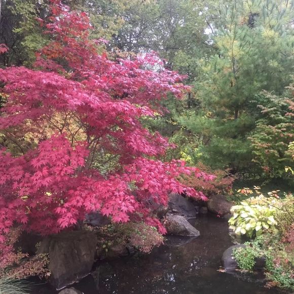 Meet your Posher, Jennifer - Picture 1 of 1